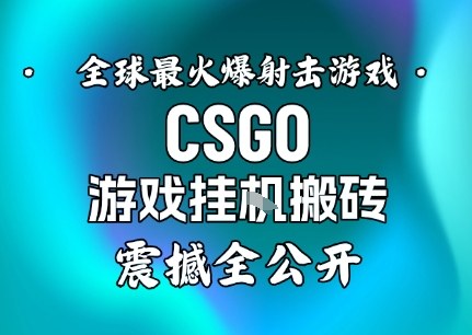 【年底大揭秘】基于全球最火爆的射击CSGO游戏挂G搬砖，日入5张+，震撼公开-红豆科技-抖佳互动